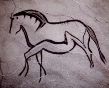 Sabino pinto cave horse